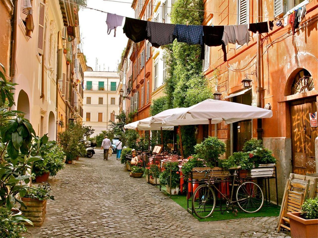 Magenta Collection Egidio * Roma